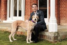 Battersea appoints new chief executive