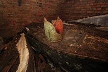 Museum raises funding target by £300,000 after Archbishops of Canterbury coffins found