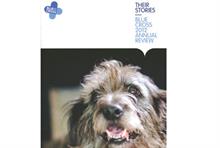 Blue Cross's annual review