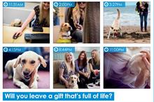 Legacies: Guide Dogs broadens its appeal