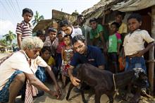World Animal Protection pays out £230,000 in redundancy to Colombia employee