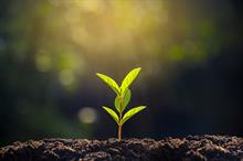 Interim Top 150: 'We're super optimistic about 2021' - most UK agencies expect revenue this year to exceed pre-COVID levels