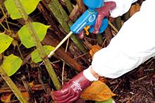 Amenity weed control - coping with chemical restrictions