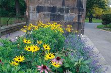 Horticulture Week Custodian Award - Best Urban Park Initiative