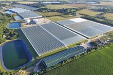 Aerial view of APS Produce's greenhouses