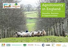 How can growers benefit by supporting agroforestry?
