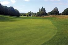 Dudsbury Golf Club green