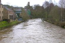 Can planned mass tree planting save Leeds from future flooding?