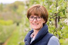 How can English Apples & Pears maintain the sector's growth rate?