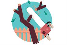 Careers profile - Arboriculture team leader