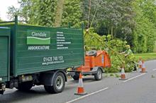 Glendale: business provides a full suite of tree surgery and tree removal services - credit: Glendale 