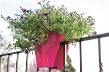 Buyers' guide - pots and containers