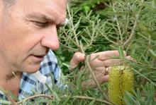 Chris Clennett leaves Kew's Wakehurst Place garden after 30 years