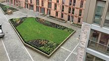 Landscaped courtyard with grass and planting by Brambledown 