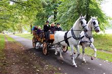 Horticulture Week Custodian Award - Best Parks Restoration/Development Project
