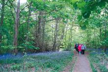 Horticulture Week Custodian Award - Best Amenity Woodland/Forest Initiative