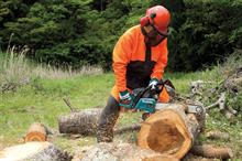 Makita: vibration-dampening technology on premium saws reduces risk to operator - image: HW