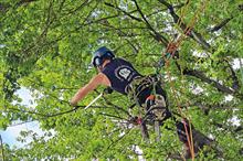 Connick Tree Care says it is strong on service delivery, safety and training - credit: Connick Tree Care