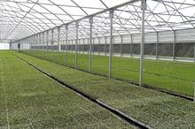 Protected Cropping Structures - Polytunnels