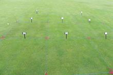 Turf consumables