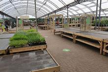 Images: Horticulture Week
