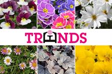 Earley Ornamentals reveals 2021/22 gardening trends