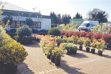 Evergreen Exterior Services sees sales success across the board and no problems with post-Brexit plant imports