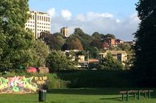 Exeter to re-map tree cover amid fears of declining canopy
