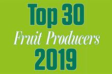 Top 30 UK Fruit Producers combined turnover shows strong increase despite Brexit and labour supply concerns