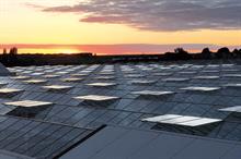 Glasshouse roofs at Flavourfresh's growing facility