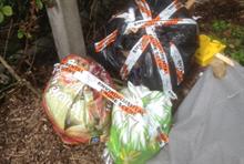What action can parks take to mitigate fly-tipping?
