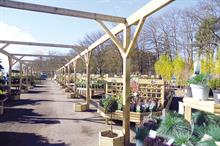 Top 100 Garden Centres 2017 - Bubbling under