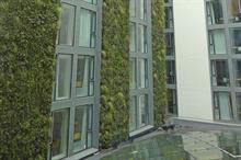 Frosts: living walls a key area of work - image: Frosts Landscape Construction