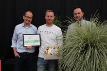 Image:  Hoogeveen Plants BV /Groen-Direkt 