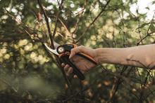 Fiskars cuts plastic packaging on garden tools