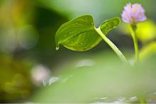 Horticulture Jobs launches 'Wonderful Workplaces' initiative
