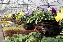 Fertilisers Special Report - invaluable nutrition
