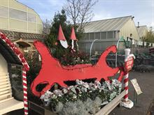 Garden centre Christmas displays 2021 - photo tours