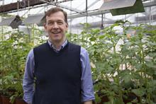 Fresh produce in a time of coronavirus