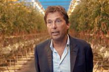 Dutch growers warned to expect export "bottlenecks" post-Brexit