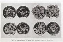 Eight composts: overall the best results were obtained when chalk and superphosphate were added together