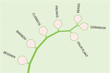 Seasonal analysis: most searched for plants online - March -April 2021