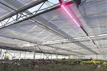 Product Special: protected crop structures - LEDs good for business