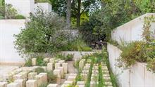 Four show gardens win gold at RHS Chelsea Flower Show 2017