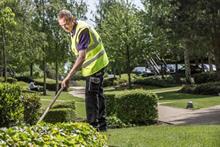 How is Mitie Landscapes progressing with its transformation programme?