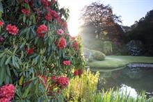 National Trust: Do you have the vision to transform our outdoor spaces for the future?