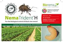 Crop protection: Ornamentals armoury