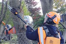 Tested and reviewed - Arboriculture kit