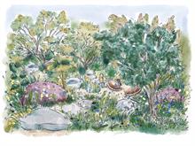Jamie Butterworth garden design illustration