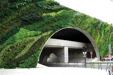 Living walls